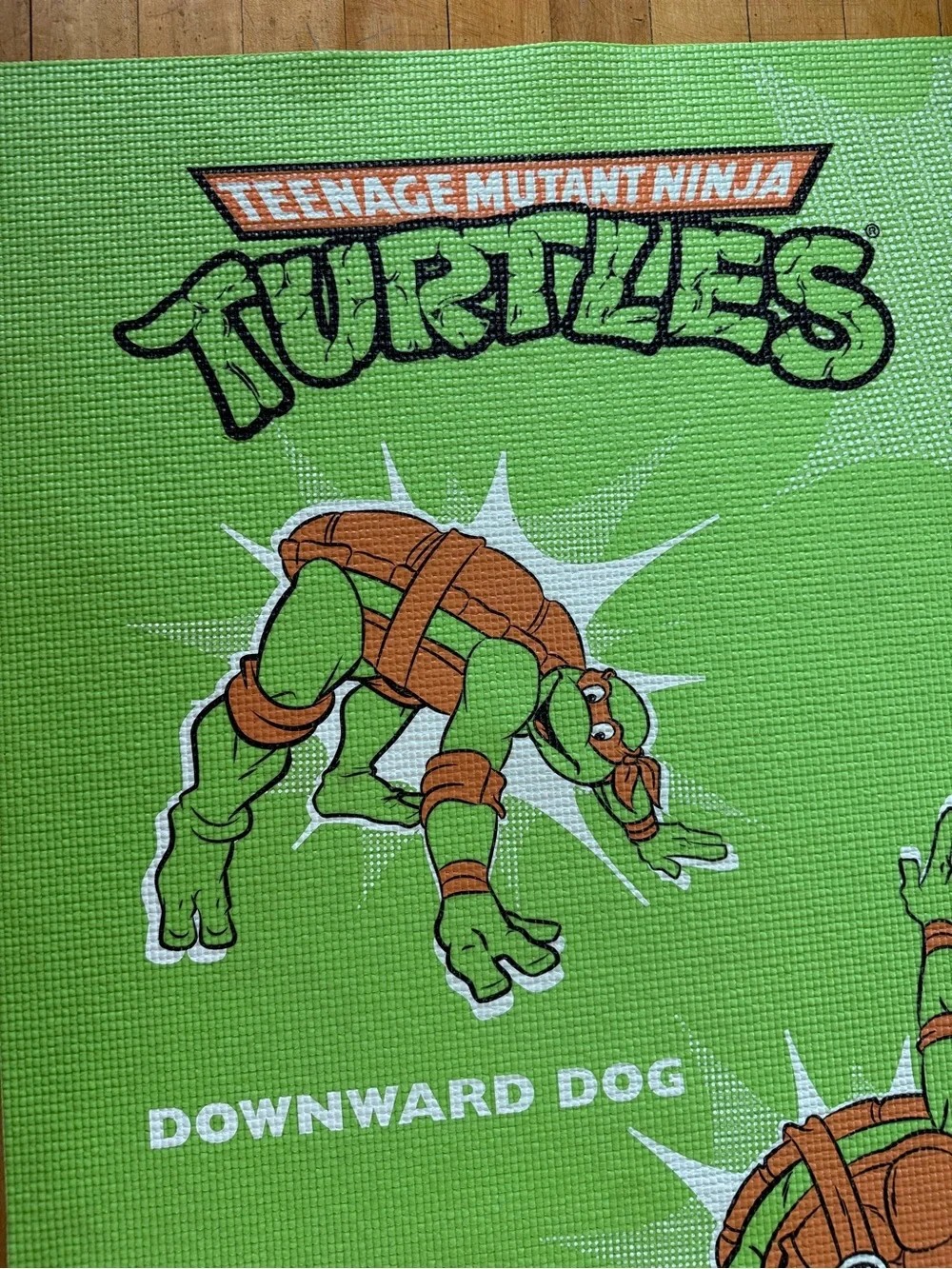 N/A few fun tmnt